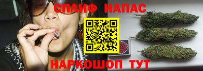 марихуана Будённовск
