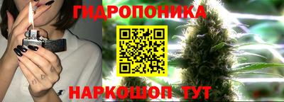 марихуана Будённовск