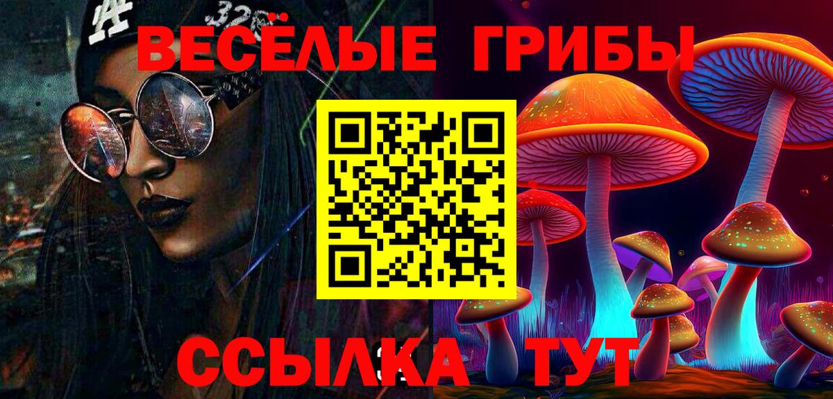 Псилоцибиновые грибы MAGIC MUSHROOMS Саранск