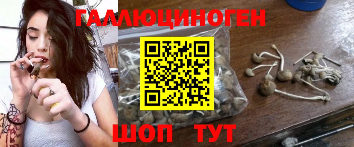 Саранск  Псилоцибиновые грибы Magic Shrooms  Вход с VPN 